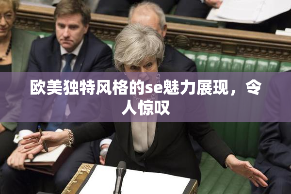欧美独特风格的se魅力展现，令人惊叹