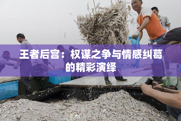 王者后宫：权谋之争与情感纠葛的精彩演绎