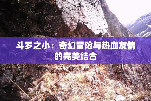 斗罗之小：奇幻冒险与热血友情的完美结合