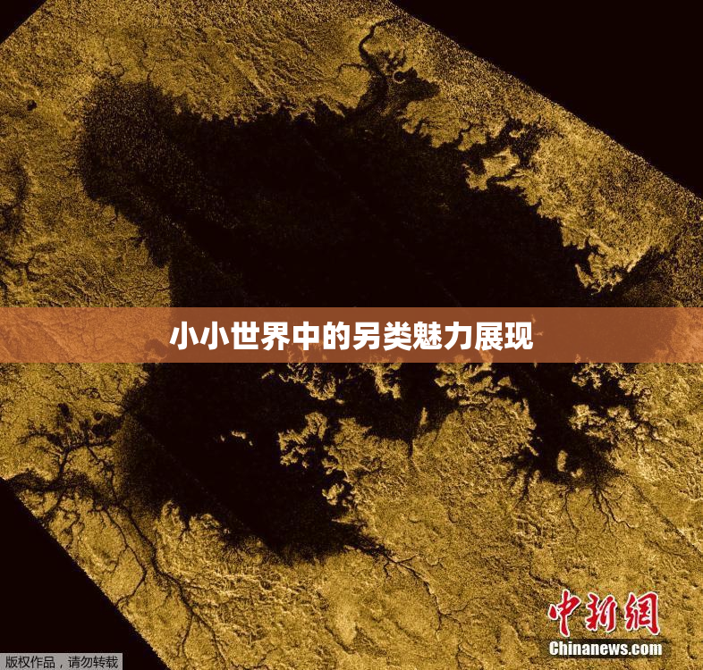 小小世界中的另类魅力展现