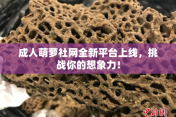成人萌萝社网全新平台上线，挑战你的想象力！