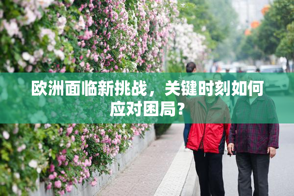 欧洲面临新挑战，关键时刻如何应对困局？