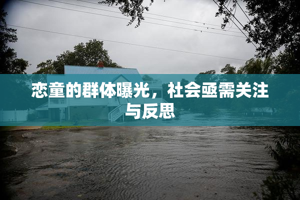 恋童的群体曝光，社会亟需关注与反思