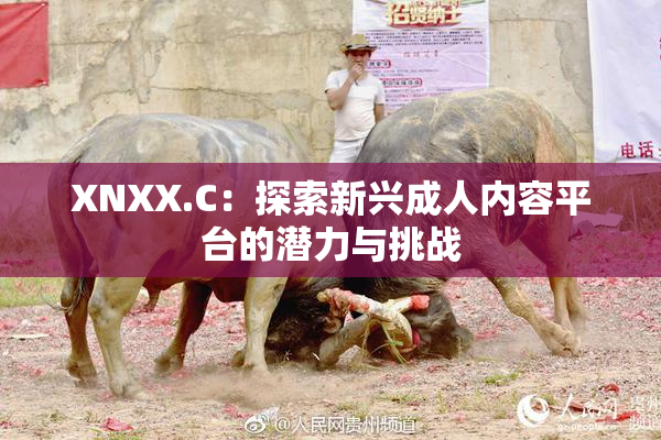 XNXX.C：探索新兴成人内容平台的潜力与挑战