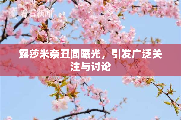 露莎米奈丑闻曝光，引发广泛关注与讨论