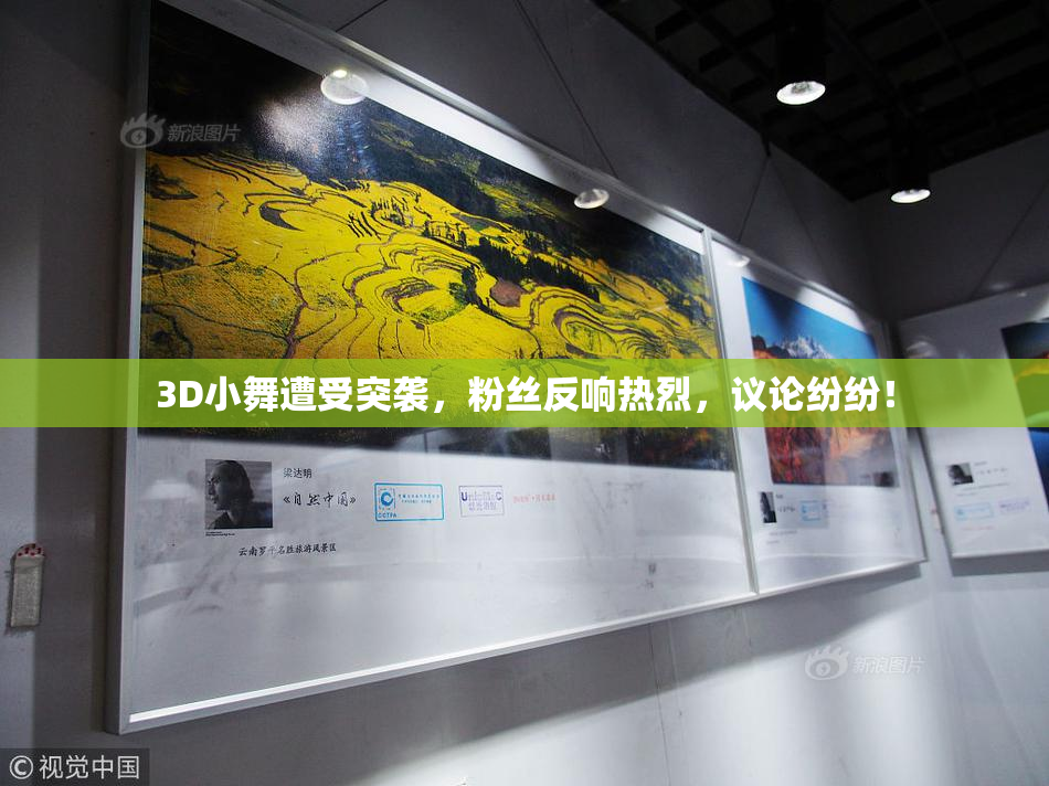 3D小舞遭受突袭，粉丝反响热烈，议论纷纷！