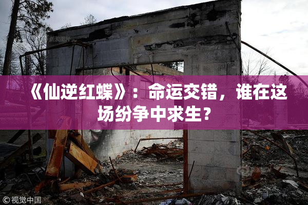 《仙逆红蝶》：命运交错，谁在这场纷争中求生？