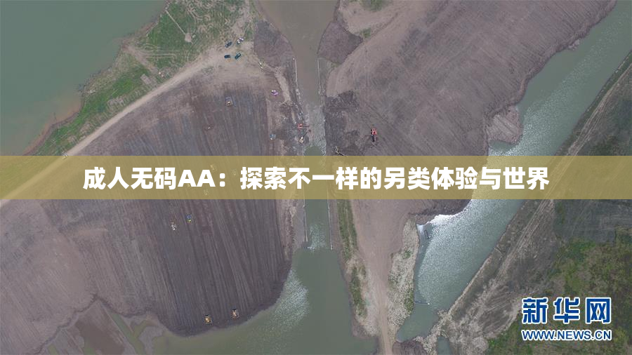 成人无码AA：探索不一样的另类体验与世界