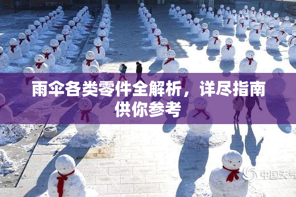 雨伞各类零件全解析，详尽指南供你参考