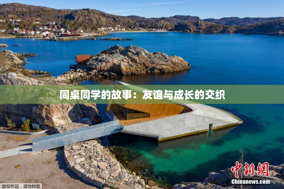 同桌同学的故事：友谊与成长的交织