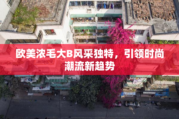 欧美浓毛大B风采独特，引领时尚潮流新趋势