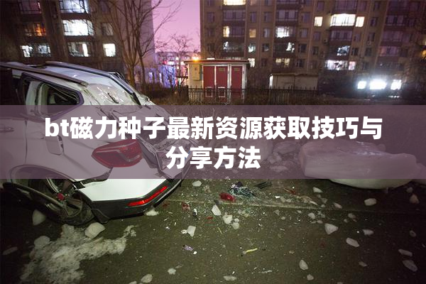 bt磁力种子最新资源获取技巧与分享方法