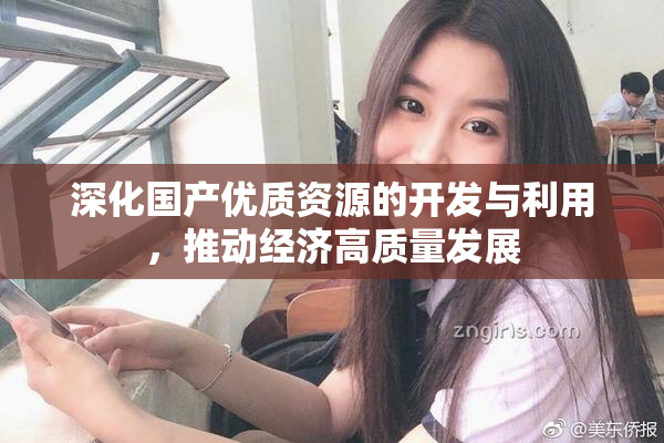 深化国产优质资源的开发与利用，推动经济高质量发展