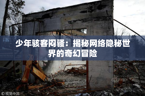 少年骇客闷骚：揭秘网络隐秘世界的奇幻冒险