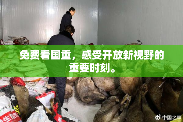 免费看国重，感受开放新视野的重要时刻。