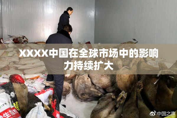 XXXX中国在全球市场中的影响力持续扩大