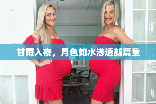 甘雨入夜，月色如水渗透新篇章