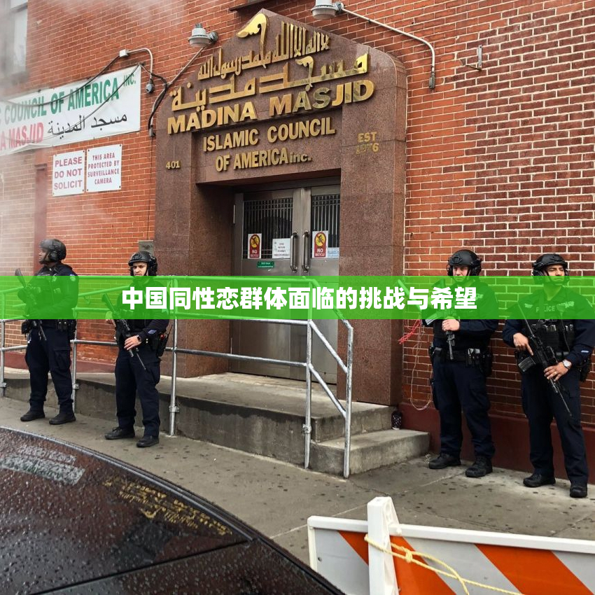 中国同性恋群体面临的挑战与希望