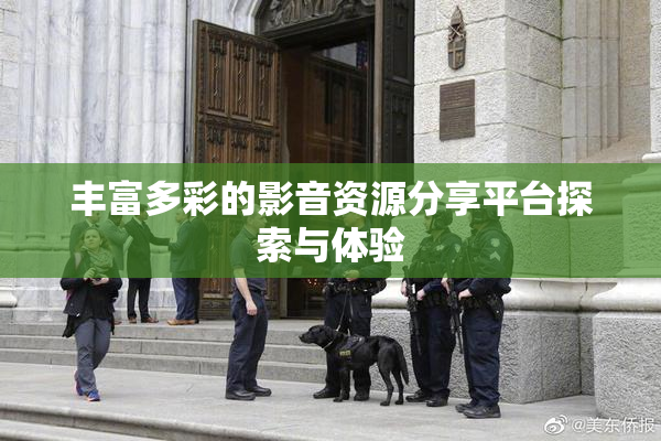 丰富多彩的影音资源分享平台探索与体验