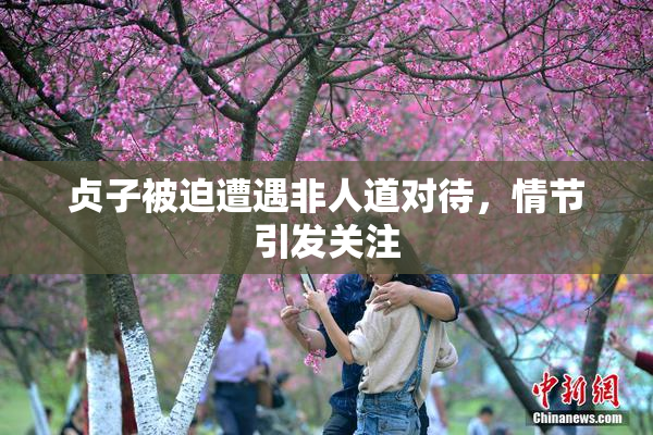 贞子被迫遭遇非人道对待，情节引发关注