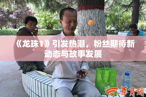 《龙珠1》引发热潮，粉丝期待新动态与故事发展