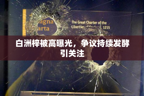 白洲梓被高曝光，争议持续发酵引关注