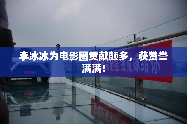 李冰冰为电影圈贡献颇多，获赞誉满满！
