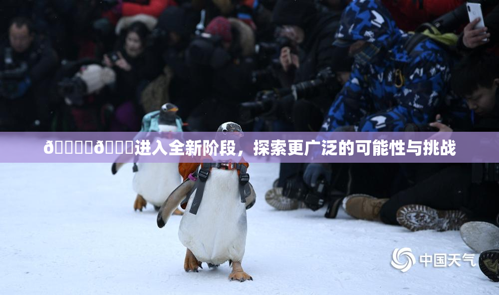 🔞‌🍌进入全新阶段，探索更广泛的可能性与挑战