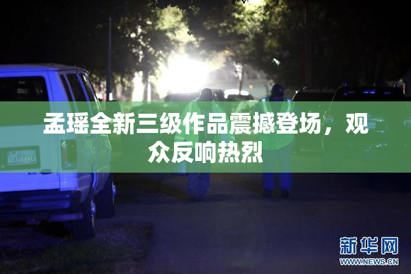 孟瑶全新三级作品震撼登场，观众反响热烈