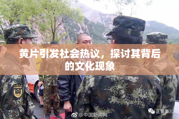黄片引发社会热议，探讨其背后的文化现象