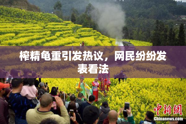 榨精龟重引发热议，网民纷纷发表看法