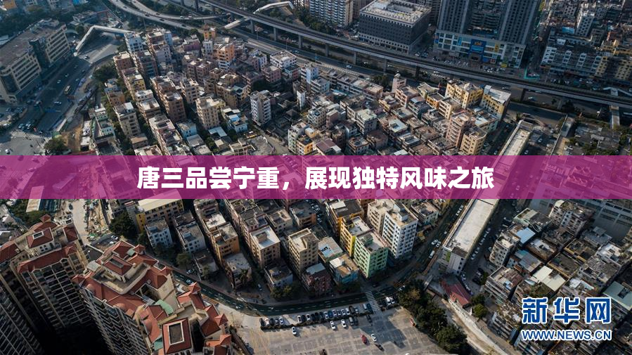 唐三品尝宁重，展现独特风味之旅