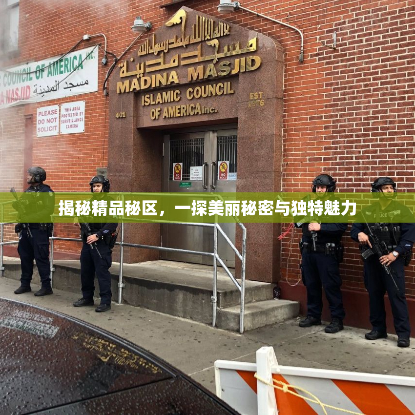 揭秘精品秘区，一探美丽秘密与独特魅力