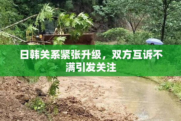 日韩关系紧张升级，双方互诉不满引发关注