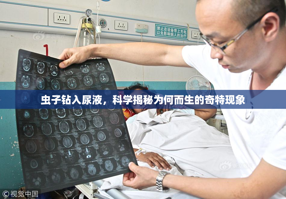 虫子钻入尿液，科学揭秘为何而生的奇特现象