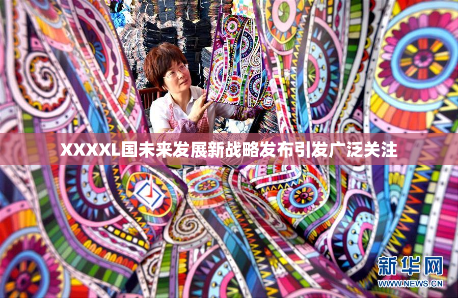 XXXXL国未来发展新战略发布引发广泛关注