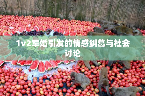 1v2军婚引发的情感纠葛与社会讨论