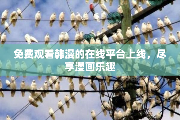 免费观看韩漫的在线平台上线，尽享漫画乐趣