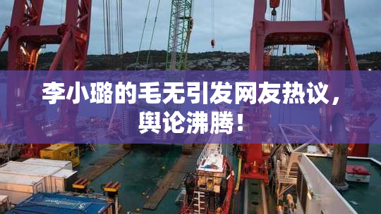 李小璐的毛无引发网友热议，舆论沸腾！