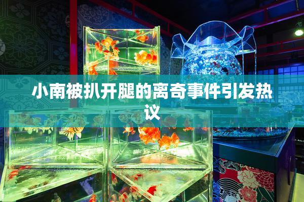 小南被扒开腿的离奇事件引发热议