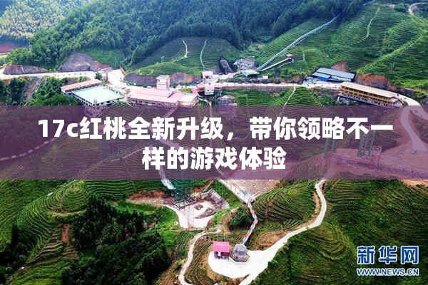17c红桃全新升级，带你领略不一样的游戏体验