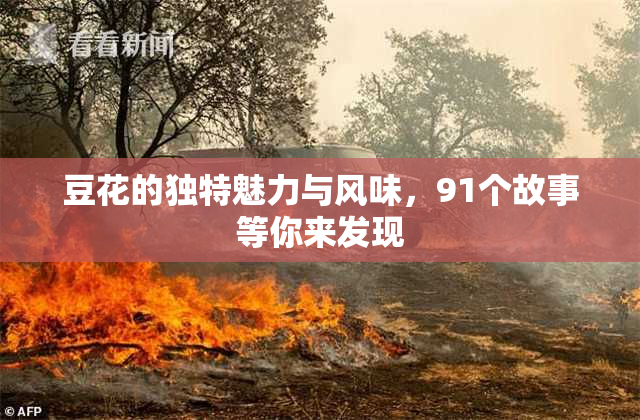 豆花的独特魅力与风味，91个故事等你来发现