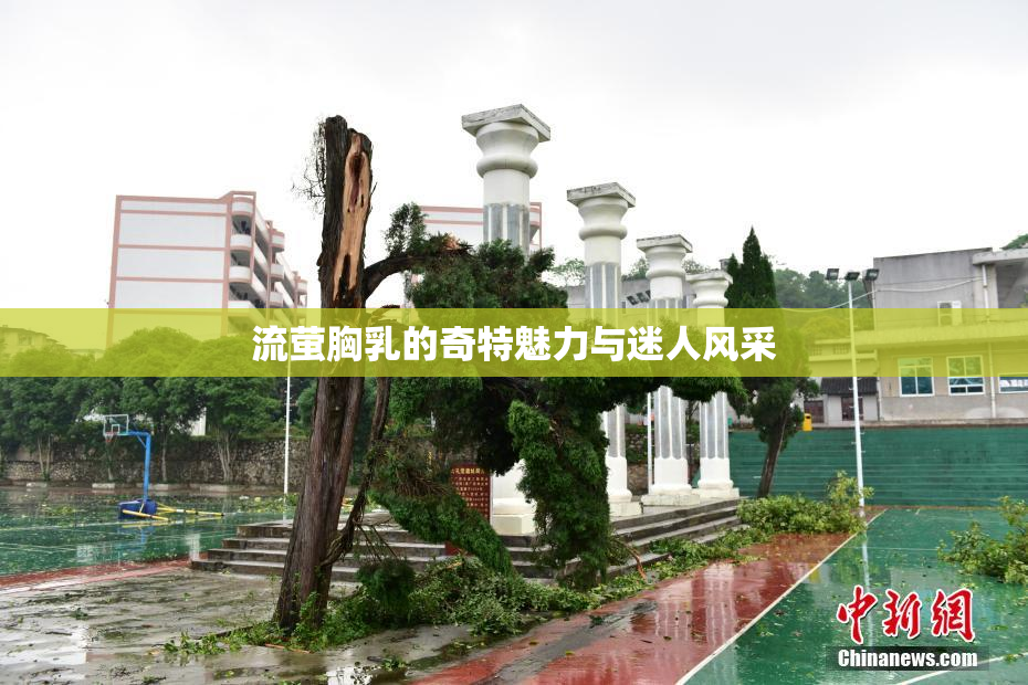 流萤胸乳的奇特魅力与迷人风采