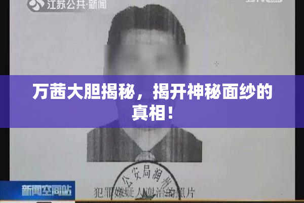 万茜大胆揭秘，揭开神秘面纱的真相！