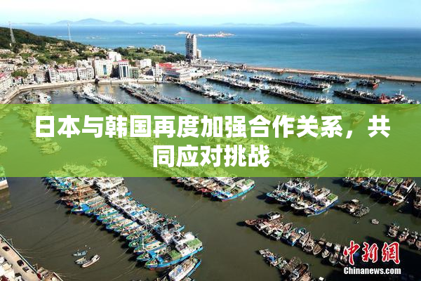 日本与韩国再度加强合作关系，共同应对挑战