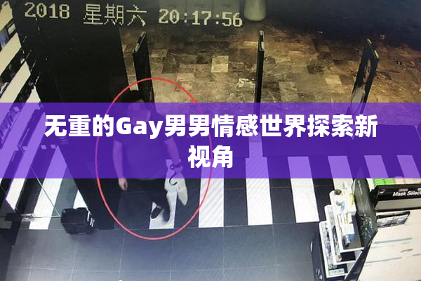 无重的Gay男男情感世界探索新视角