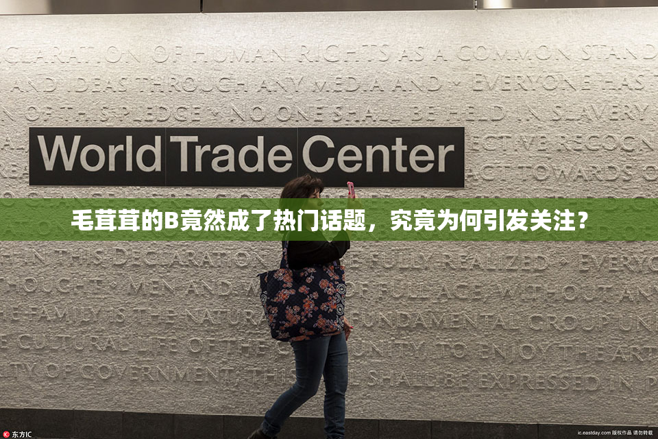 毛茸茸的B竟然成了热门话题，究竟为何引发关注？