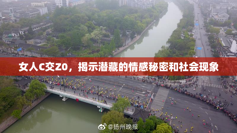 女人C交Z0，揭示潜藏的情感秘密和社会现象