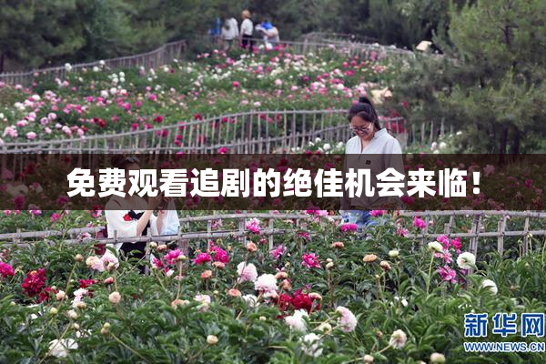免费观看追剧的绝佳机会来临！