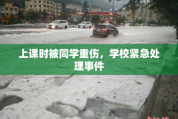 上课时被同学重伤，学校紧急处理事件